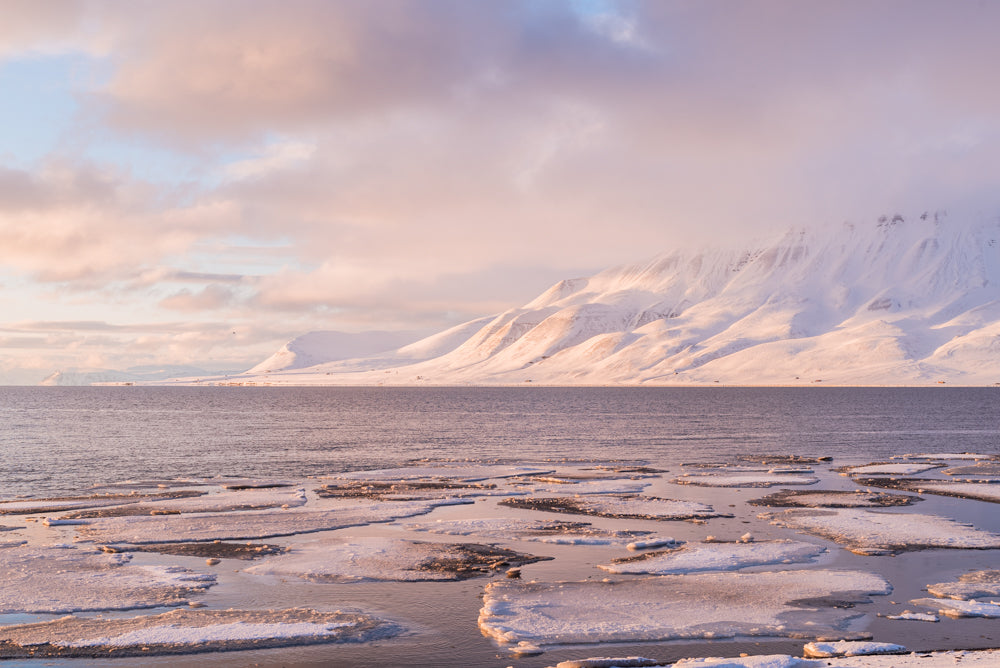 Pink sunset on the ice