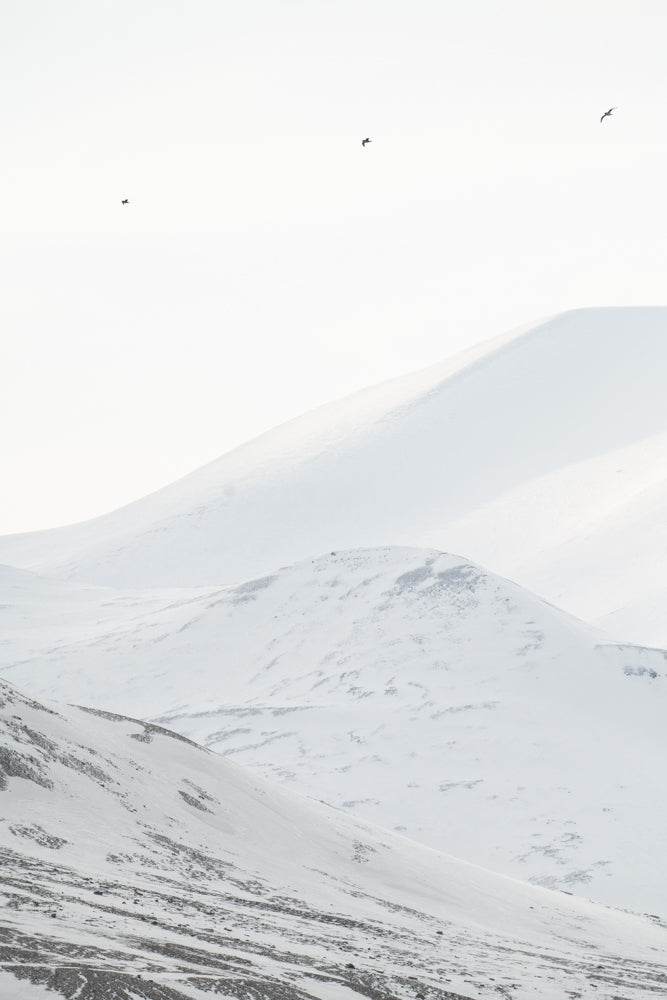 Three snowy mountains