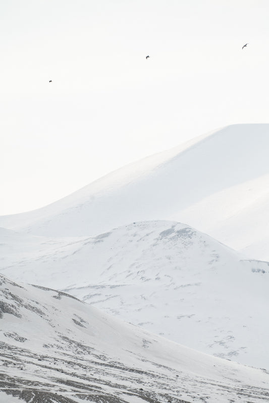Three snowy mountains