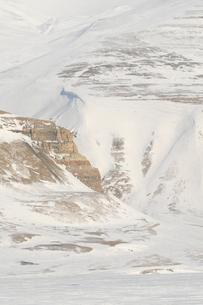 TRIO : Reindeer landscape