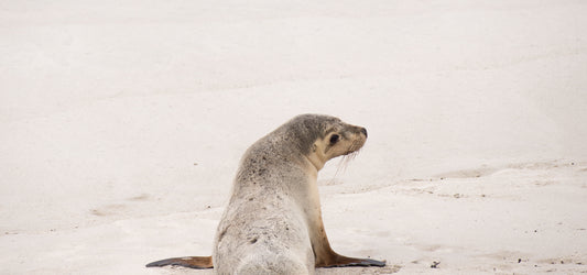 All in the sensitivity