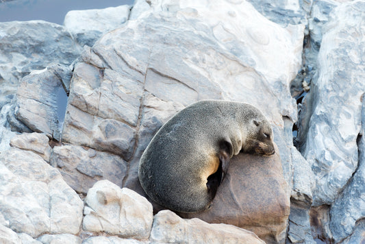 The face on the blue stones