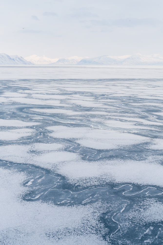 Polar Pack Ice