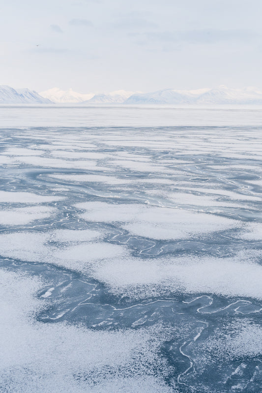 Polar Pack Ice