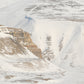 TRIO : Reindeer landscape