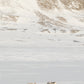 TRIO : Reindeer landscape