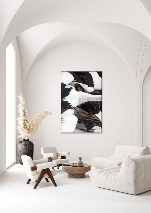 Shades of feathers
