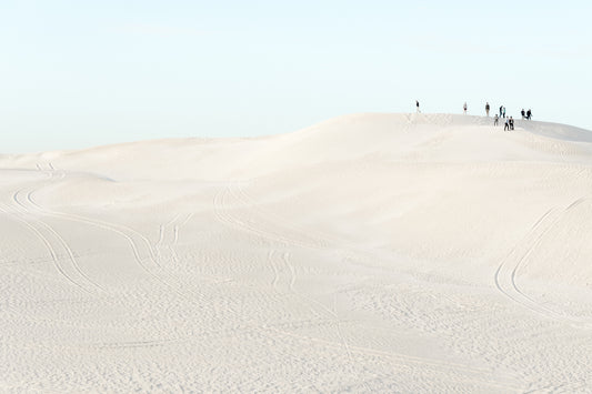 Moving out the desert