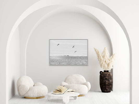 The three birds around the walrus