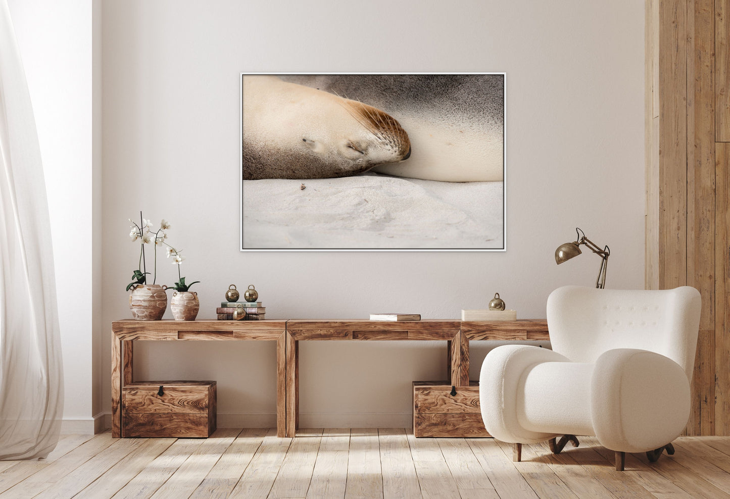 Dreaming sea lions